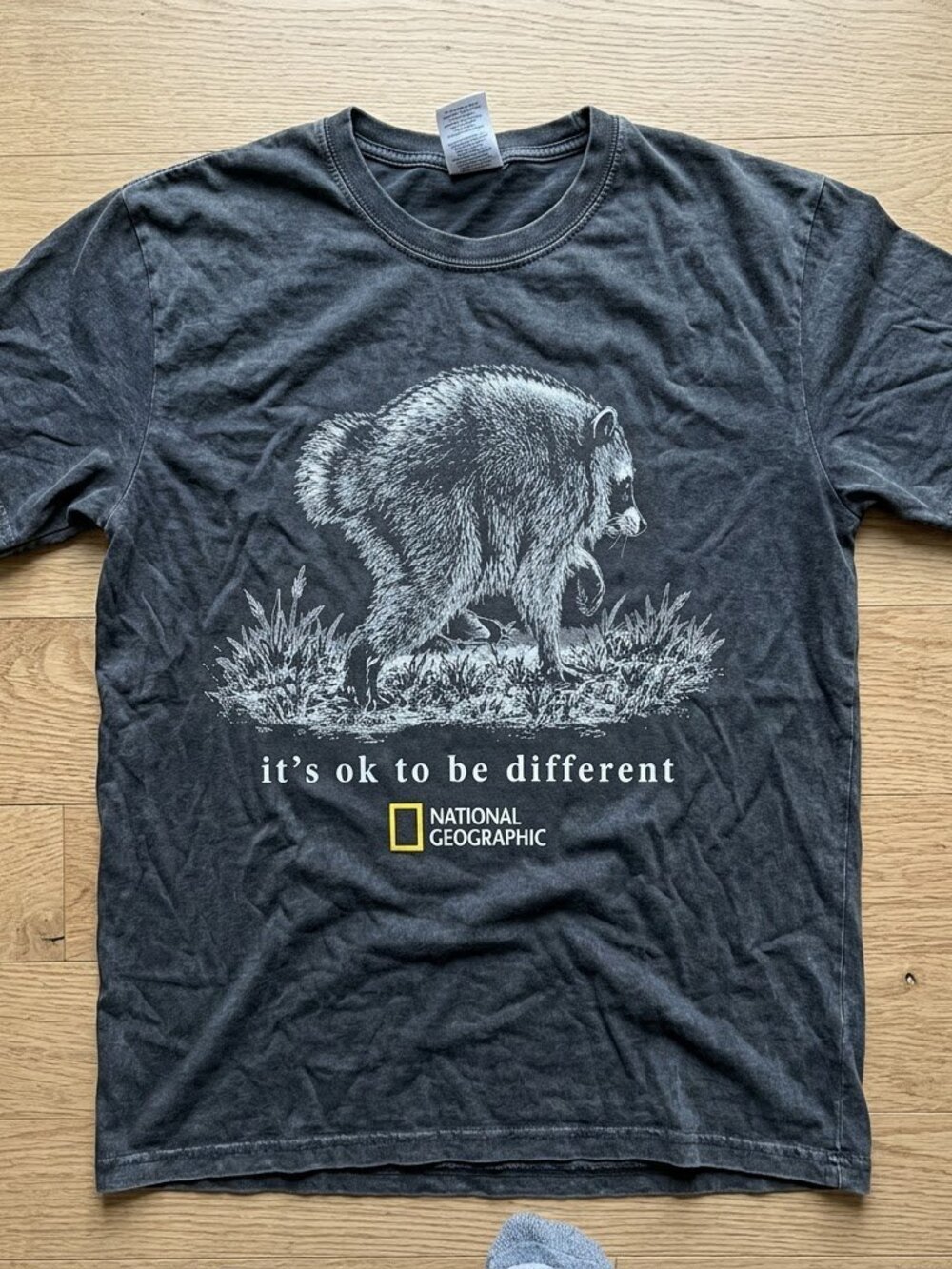 Jimothy Raccoon Shirt, Famous Seattle Raccoon Tee  charcoal